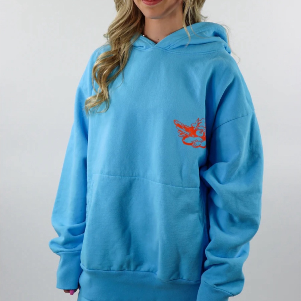 Rare BOYS LIE case of the blues hoodie